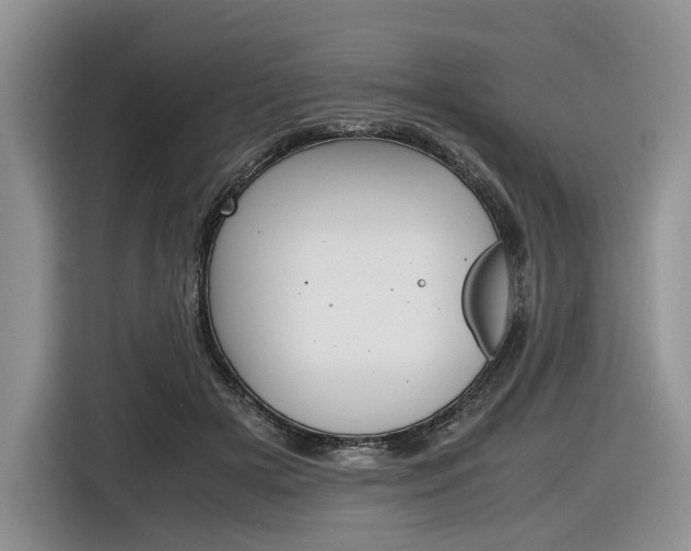 X0000116840505200912181117