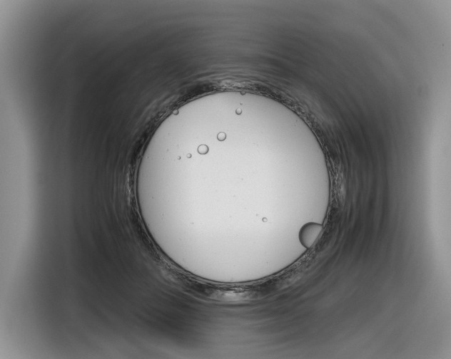 X0000116840506200912181117