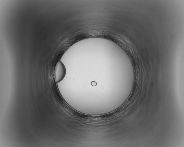 X0000116840507200912181117