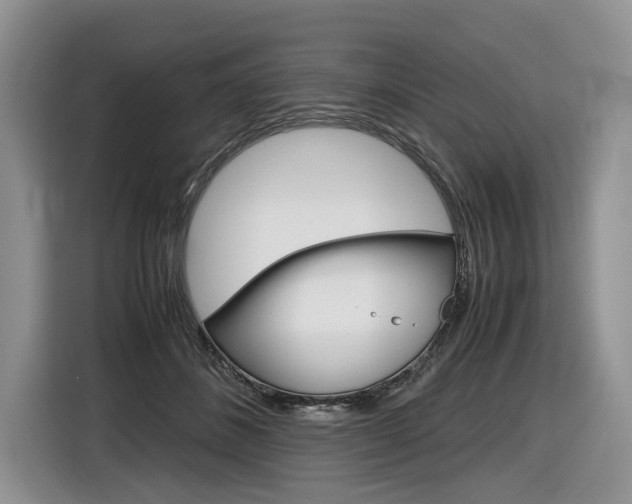 X0000116840508200912181117