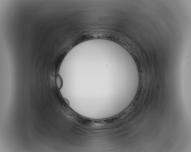 X0000116840510200912181117
