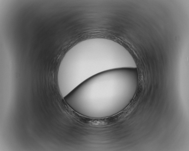 X0000116840512200912181117