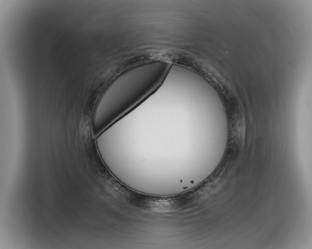 X0000116840513200912181117