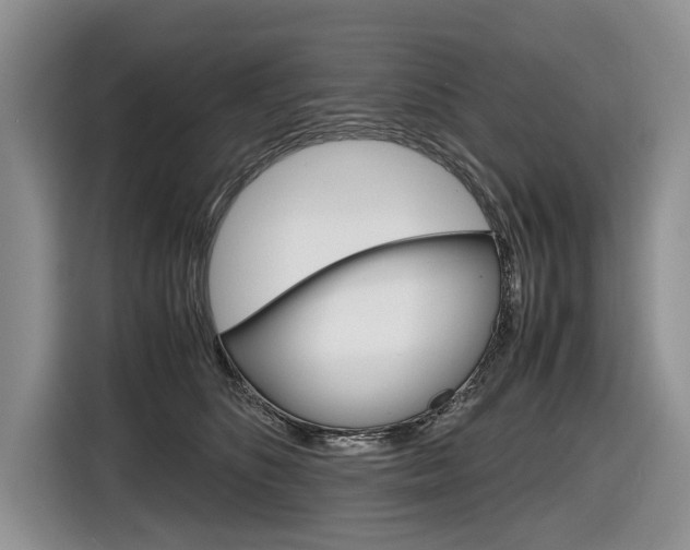 X0000116840516200912181117