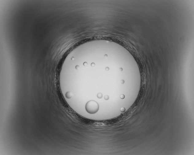 X0000116840519200912181117