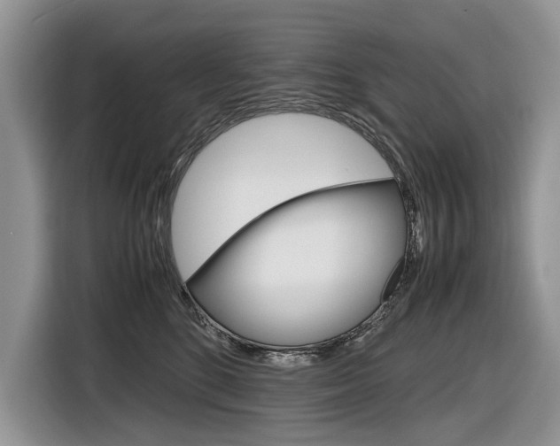 X0000116840520200912181117