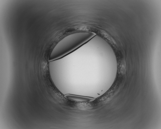 X0000116840521200912181117