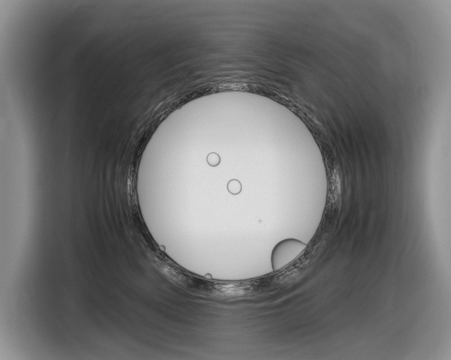 X0000116840522200912181117