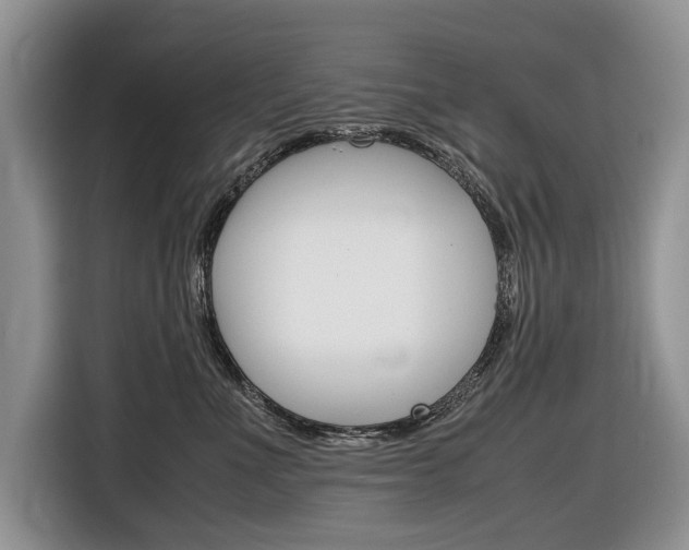 X0000116840523200912181117