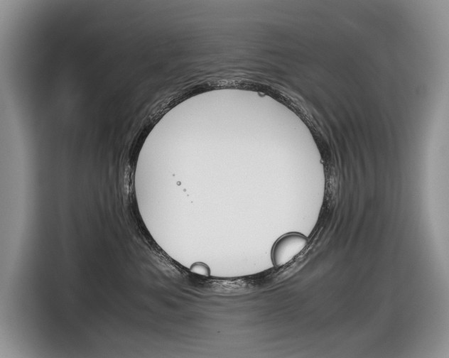 X0000116840525200912181117