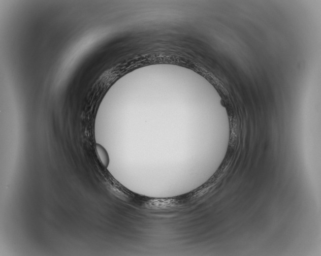 X0000116840526200912181117