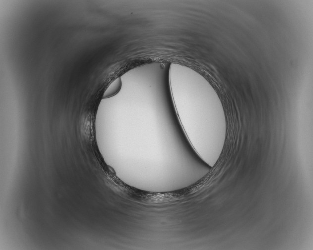 X0000116840527200912181117