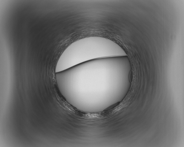 X0000116840528200912181117