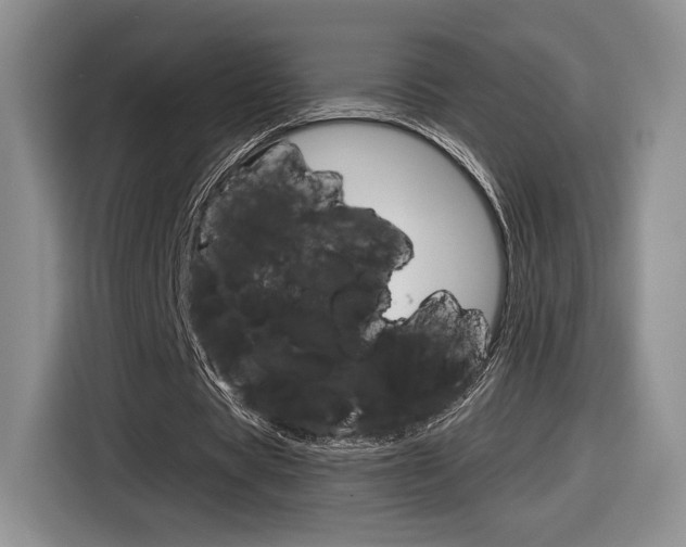 X0000116840529200912181116