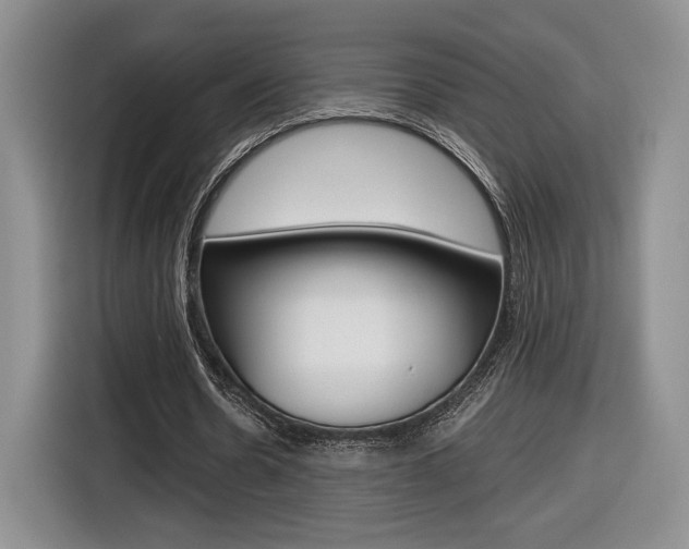 X0000116840530200912181116