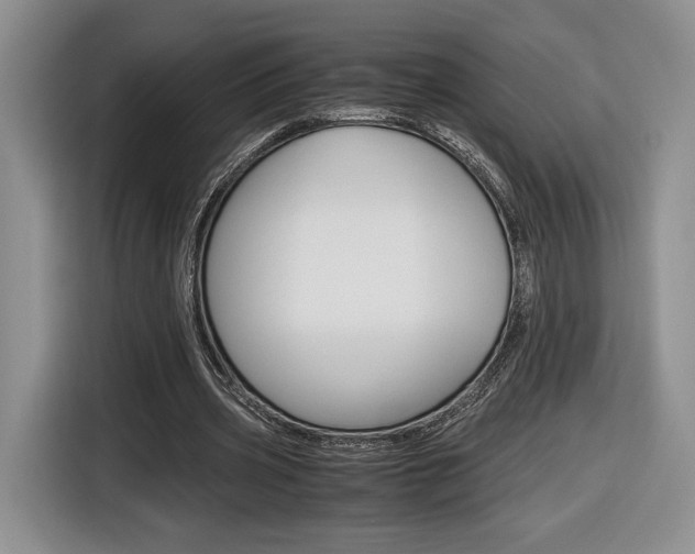 X0000116840533200912181116