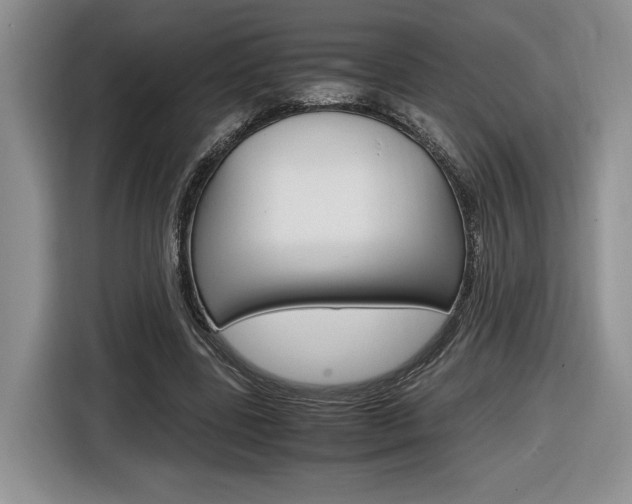 X0000116840539200912181116