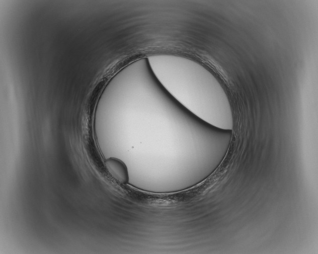 X0000116840542200912181116