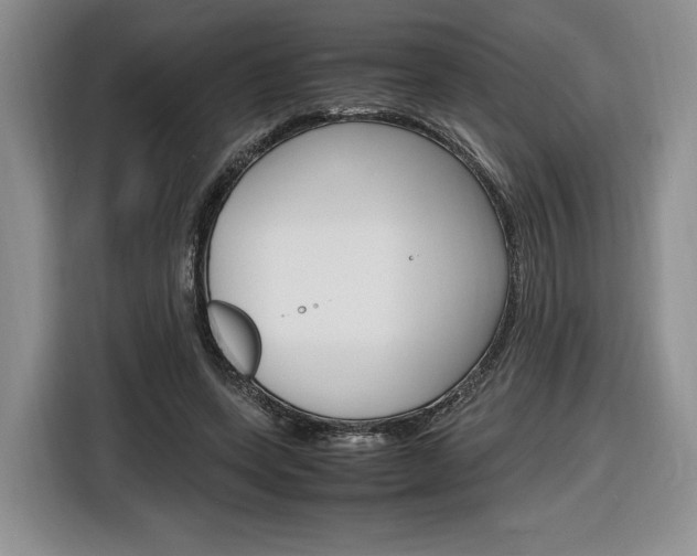 X0000116840543200912181116