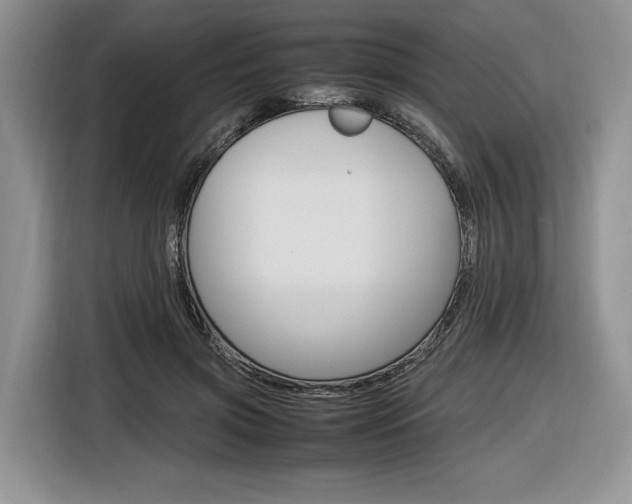 X0000116840549200912181116