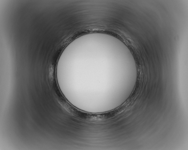 X0000116840550200912181116