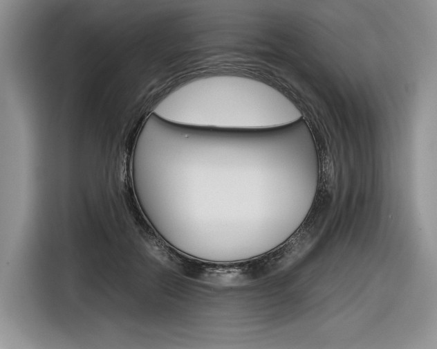 X0000116840554200912181116