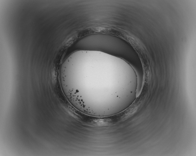 X0000116840558200912181116