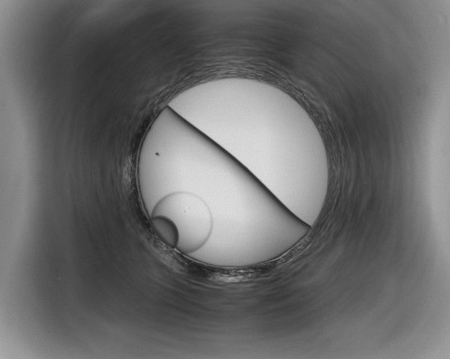 X0000116840563200912181116