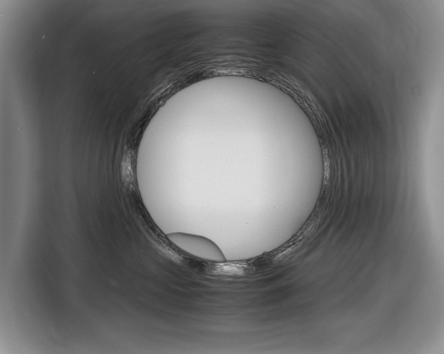 X0000116840573200912181117
