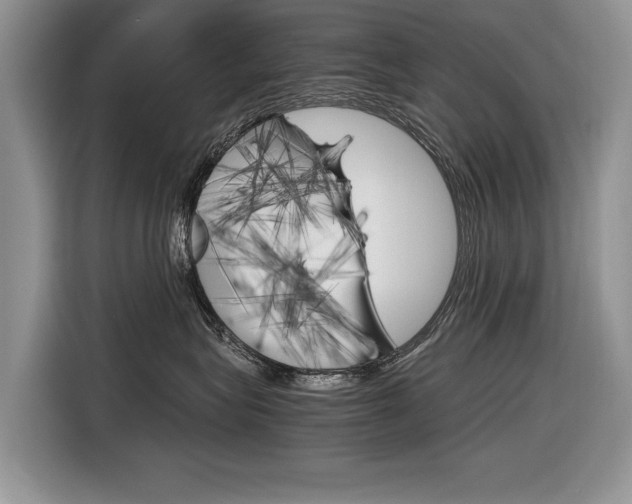 X0000116840575200912181117
