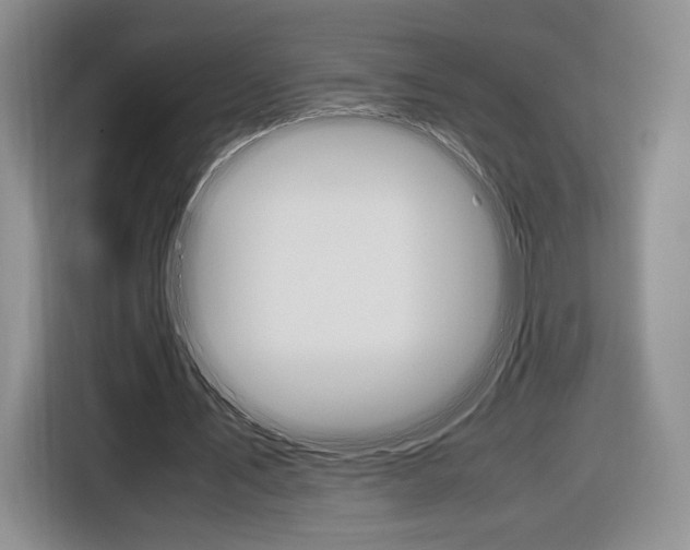 X0000116840579200912181116