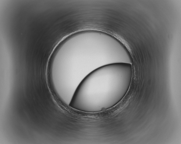 X0000116840580200912181116
