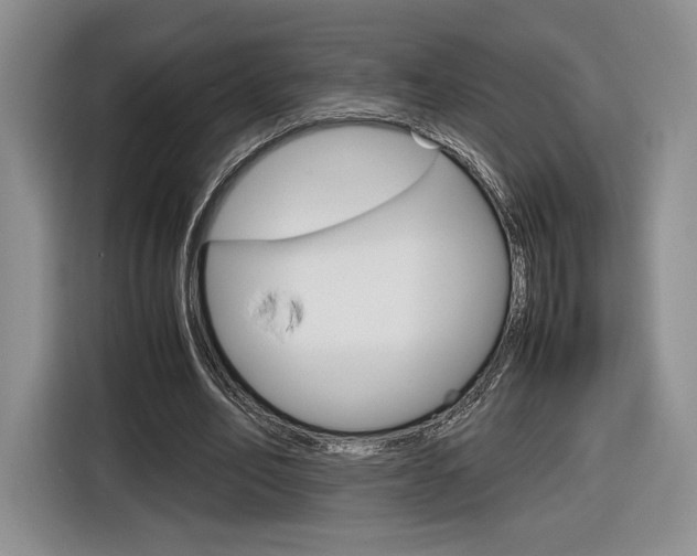 X0000116840582200912181116