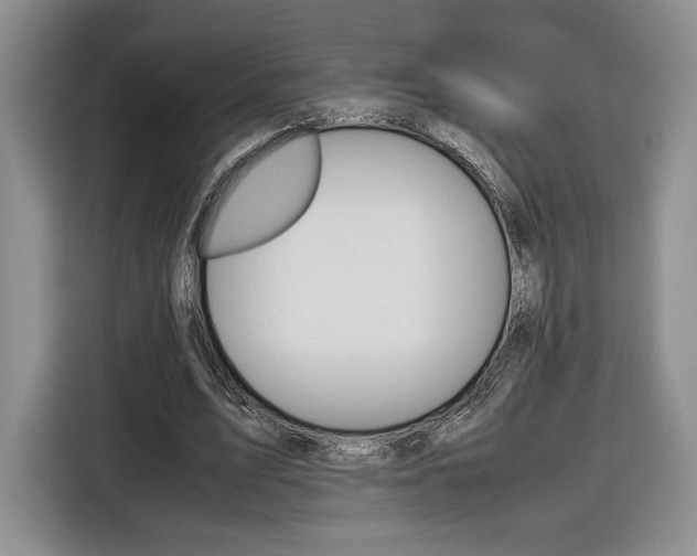 X0000116840583200912181116