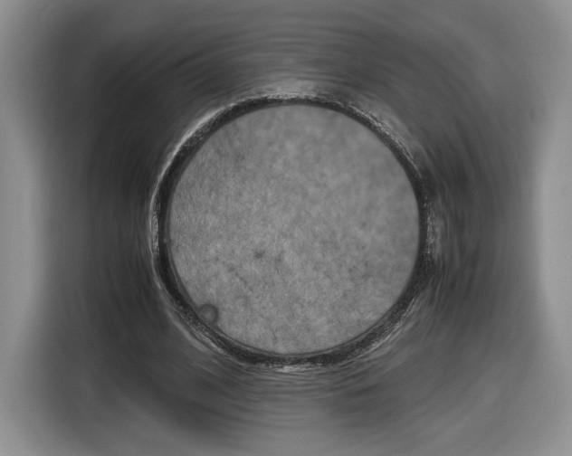 X0000116840584200912181116
