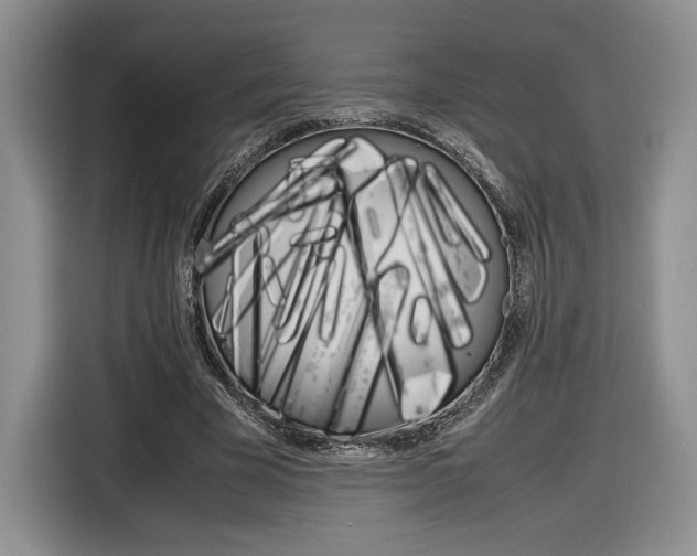 X0000116840585200912181116