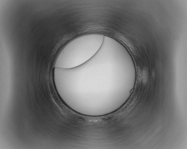 X0000116840586200912181116