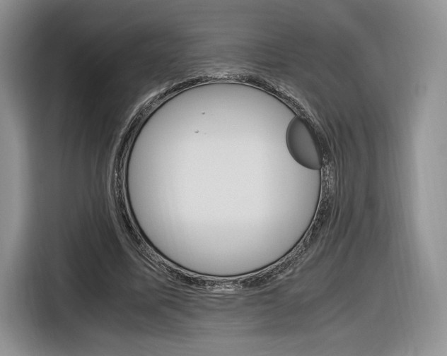 X0000116840587200912181116