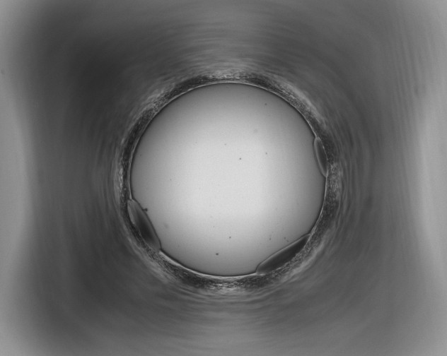 X0000116840589200912181116