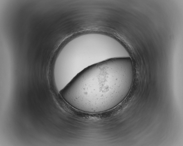 X0000116840592200912181116