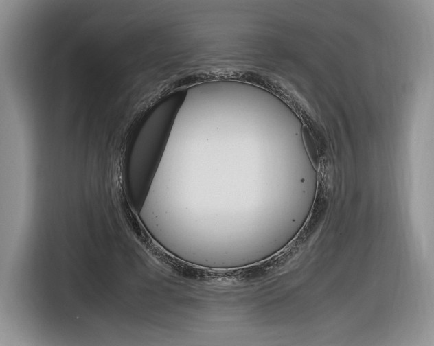 X0000116840593200912181116