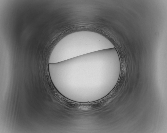 X0000116840595200912181116