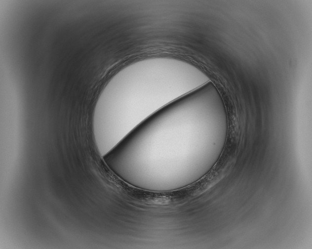 X0000116840600200912181116
