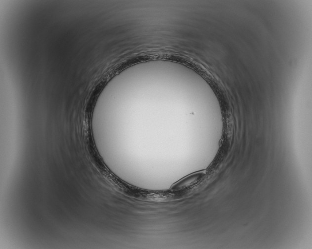 X0000116840613200912181116