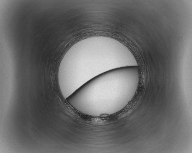 X0000116840616200912181116