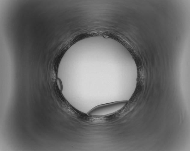 X0000116840617200912181115
