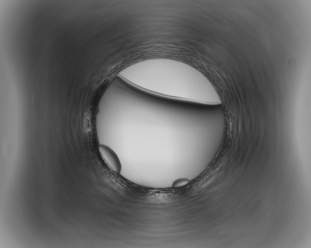 X0000116840620200912181115