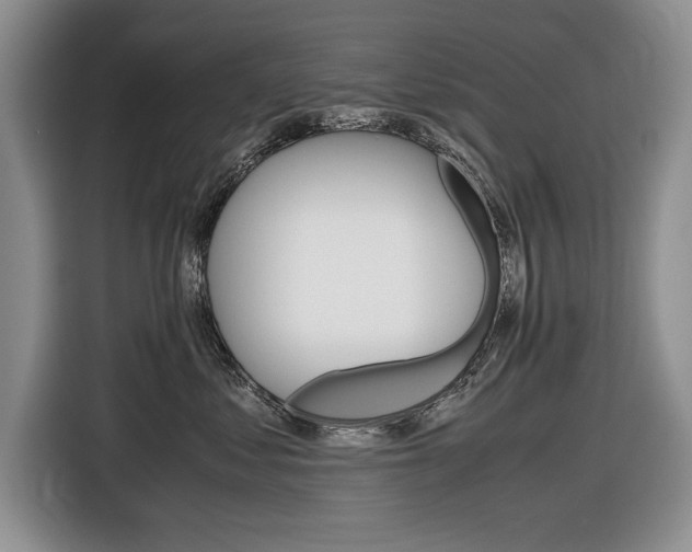 X0000116840621200912181115
