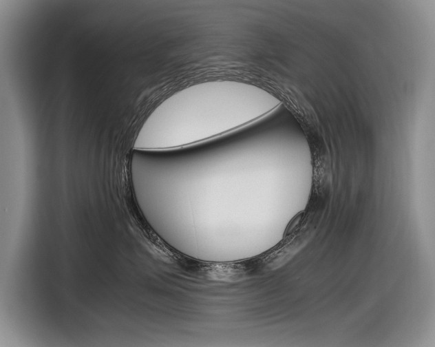 X0000116840623200912181115