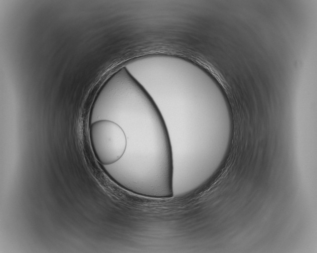X0000116840626200912181115